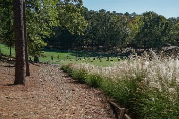 The Plantation Driving Range